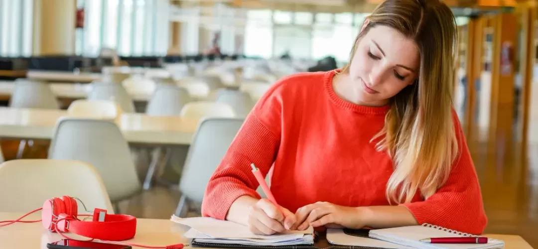 870 Parent Visa Assessment, Australian Visa Assessment, australia student visa